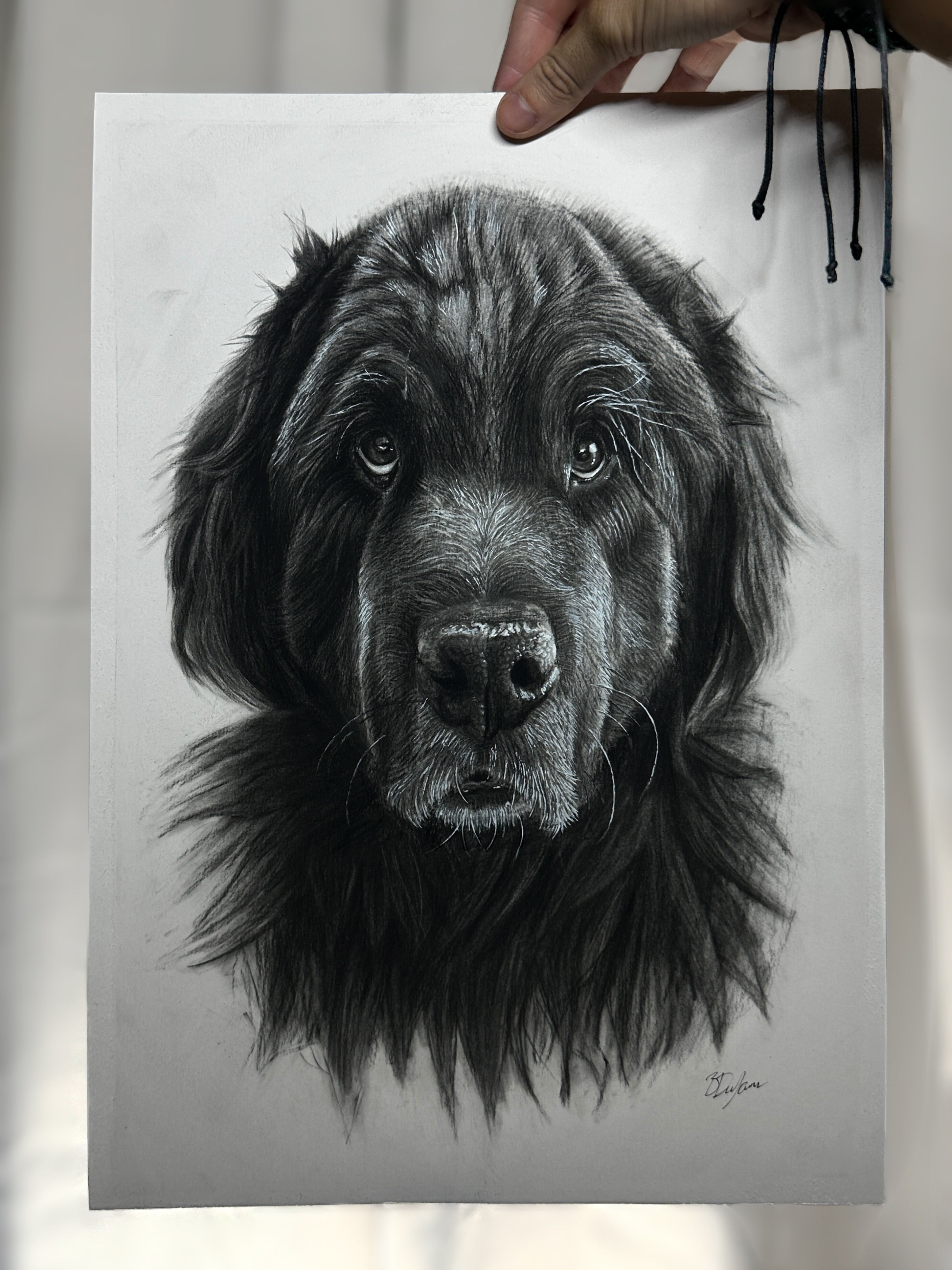 Personal Pet Portraits A3