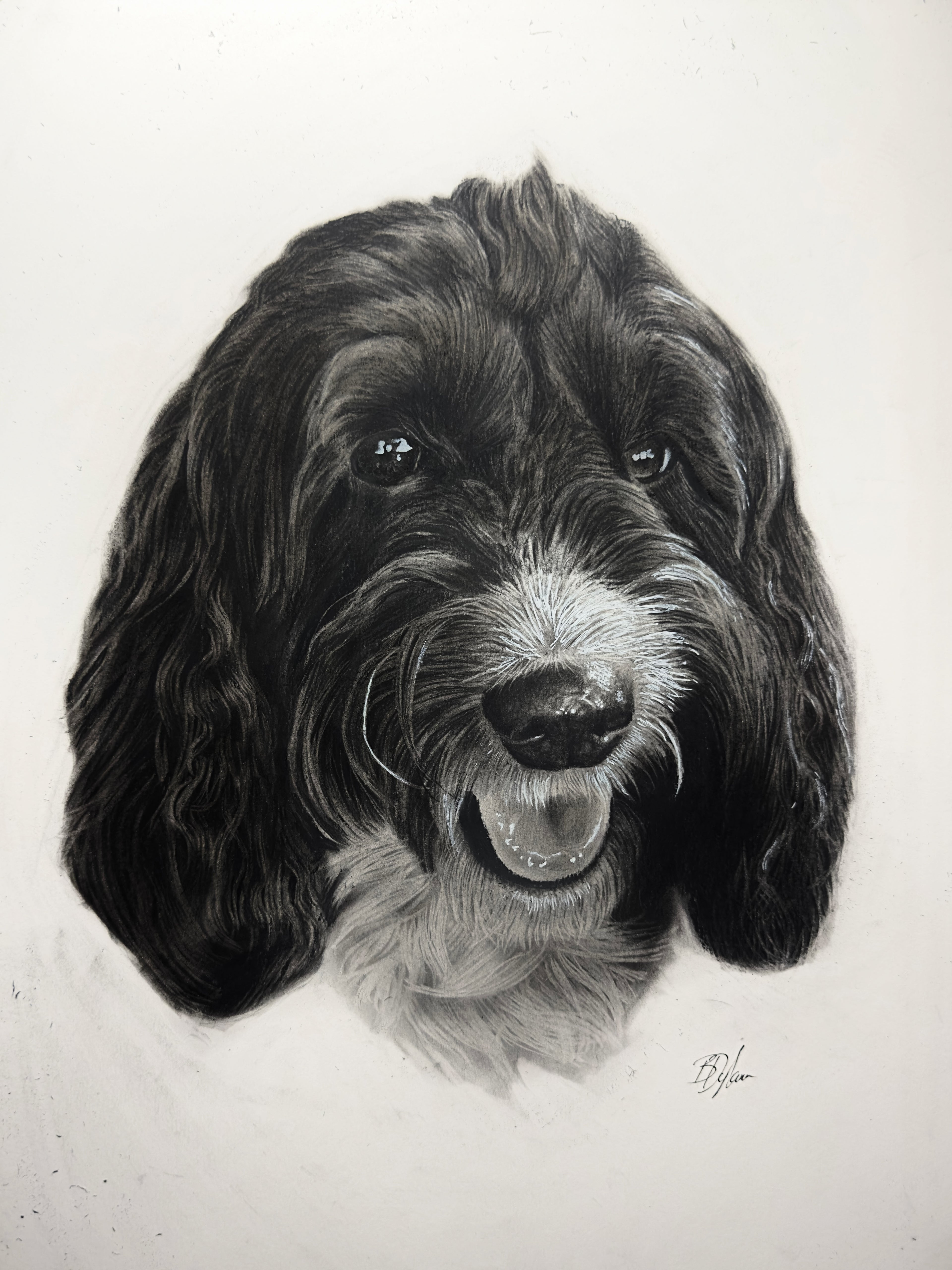 Personal Pet Portraits A3